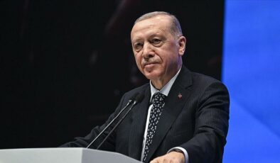 Cumhurbaşkanı Erdoğan, büyükelçilerin güven mektuplarını kabul etti