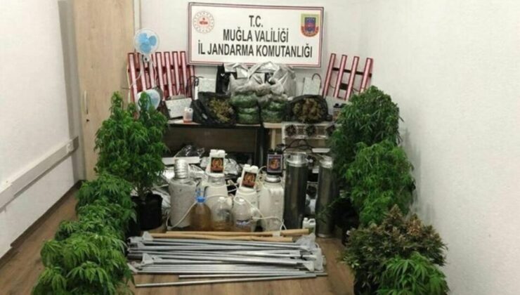 Prefabrik konteynere uyuşturucu operasyonunda 1 gözaltı – Güncel haberler