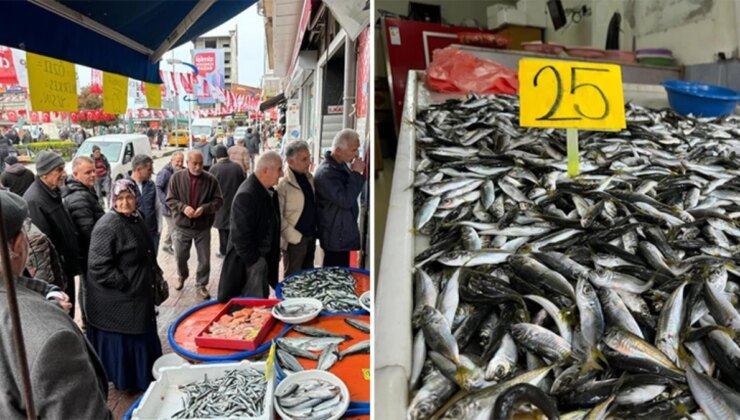 İstavritin kilosu 25 liraya düşünce balıkçı tezgahının önünde kuyruk oluştu