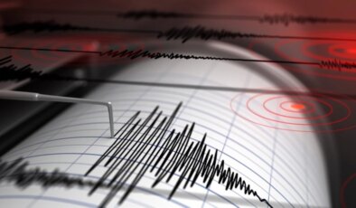 Muğla’da 4.4 büyüklüğünde deprem! Sarsıntı çevre illerde de hissedildi