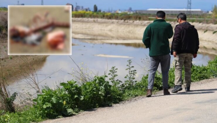 Sulama kanalında kesilmiş at ve eşek eti kalıntısı bulundu